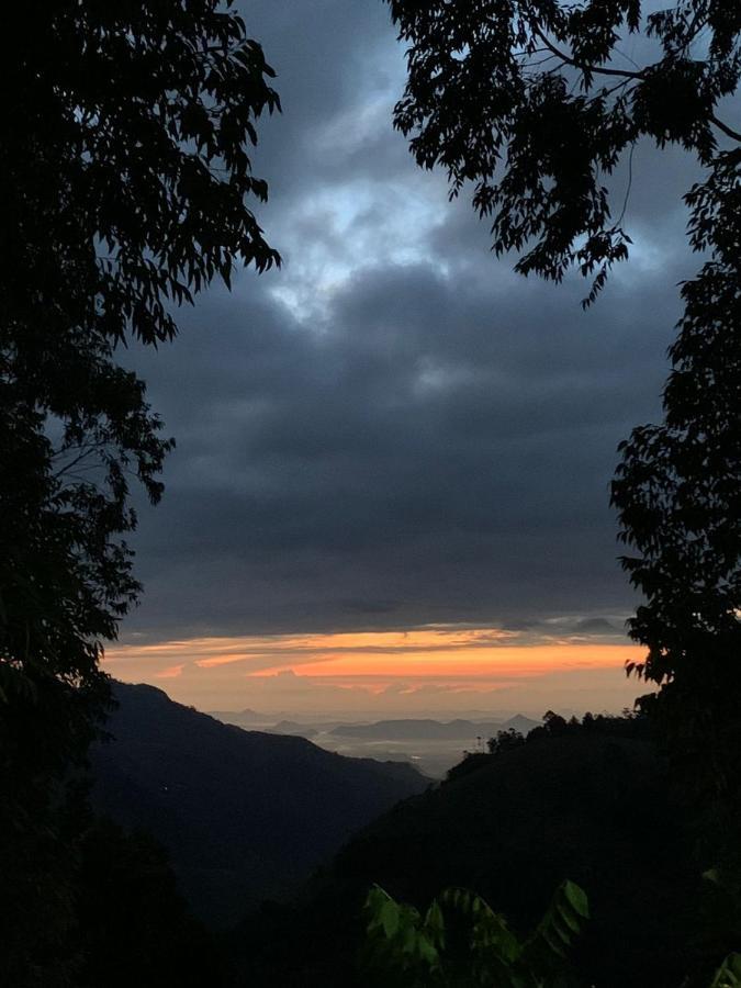 Saveen View Ella Exteriör bild